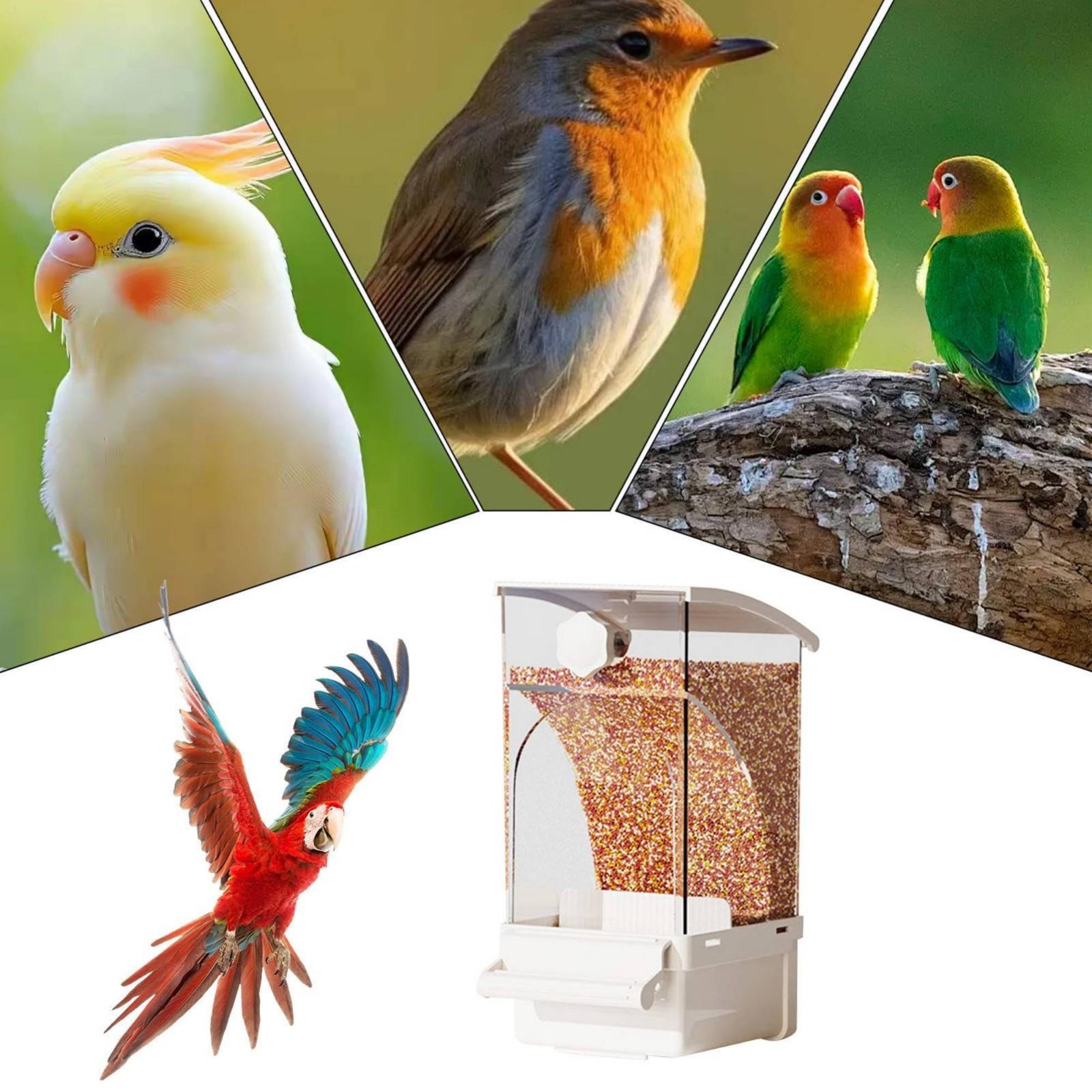 Pet Supplies Usa - Automatischer Vogelfutterspender, Hülsen-trennender, sauberer Vogelfutterspender, sauberer