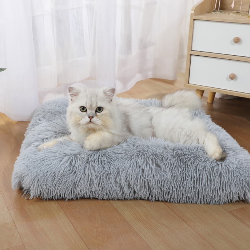Neue Amazon-Hundematte: Langfl – Pet Supplies Amazon Bewertung und Preis
