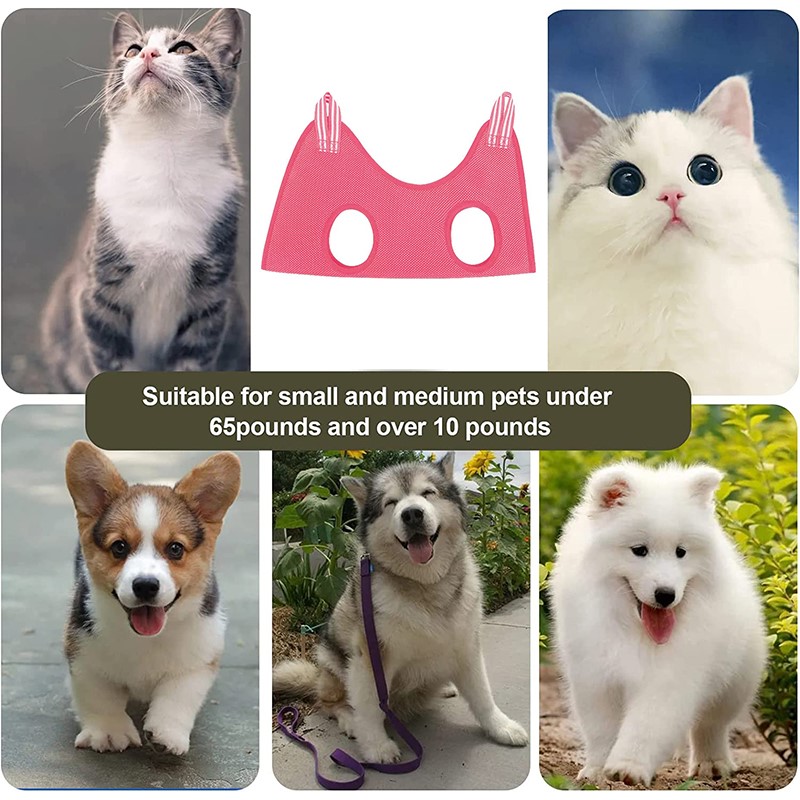 Haustier-Schönheitshängematte  – Pet Supplies Nail Trim Bewertung und Preis