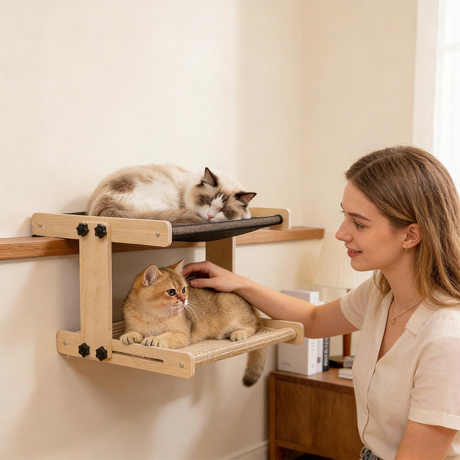 Katzenfensterbett: Schwebende  – Cat Window Perch Bewertung und Preis