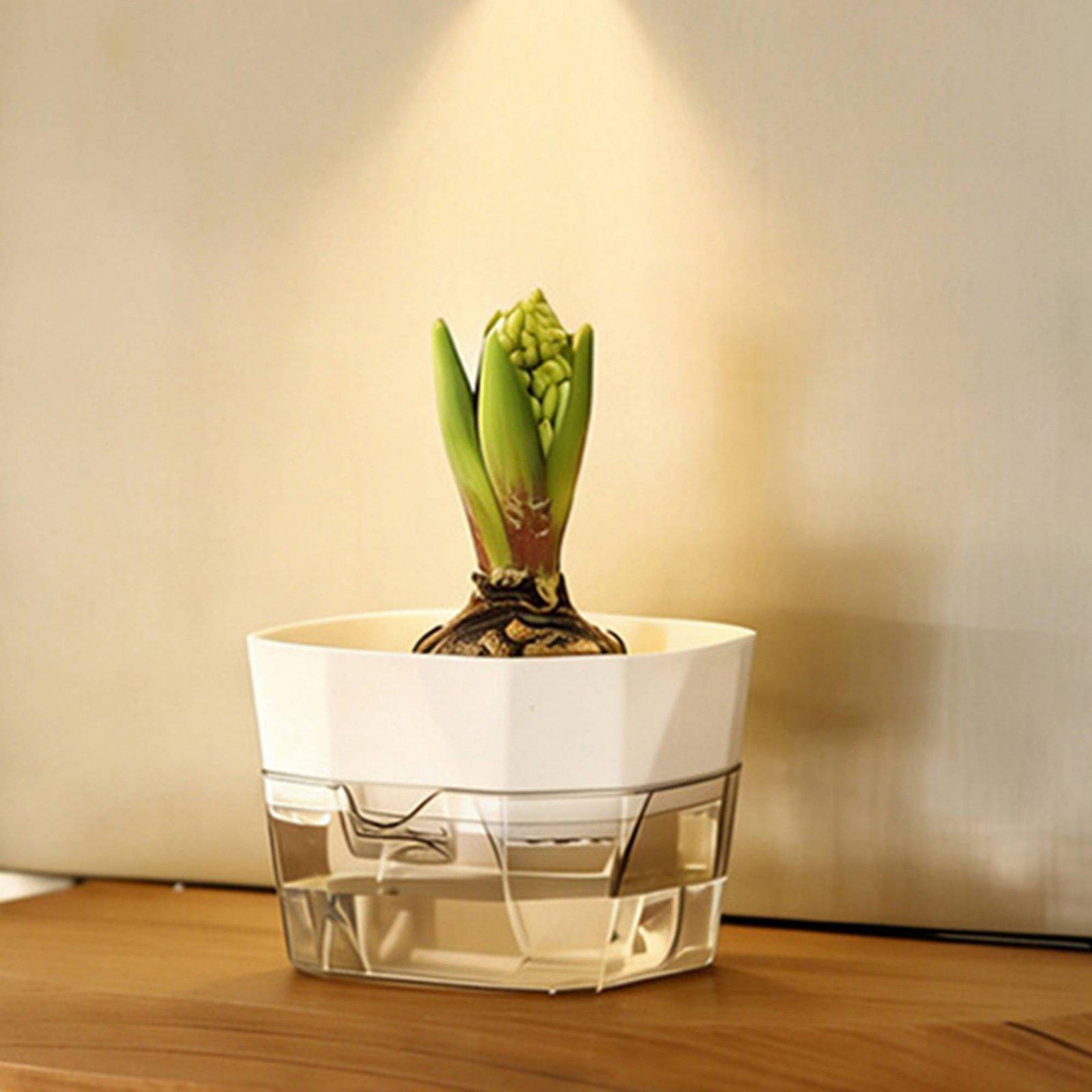 Hydroponische Vase mit Zwei Sc – Pet Supplies Usa Bewertung und Preis