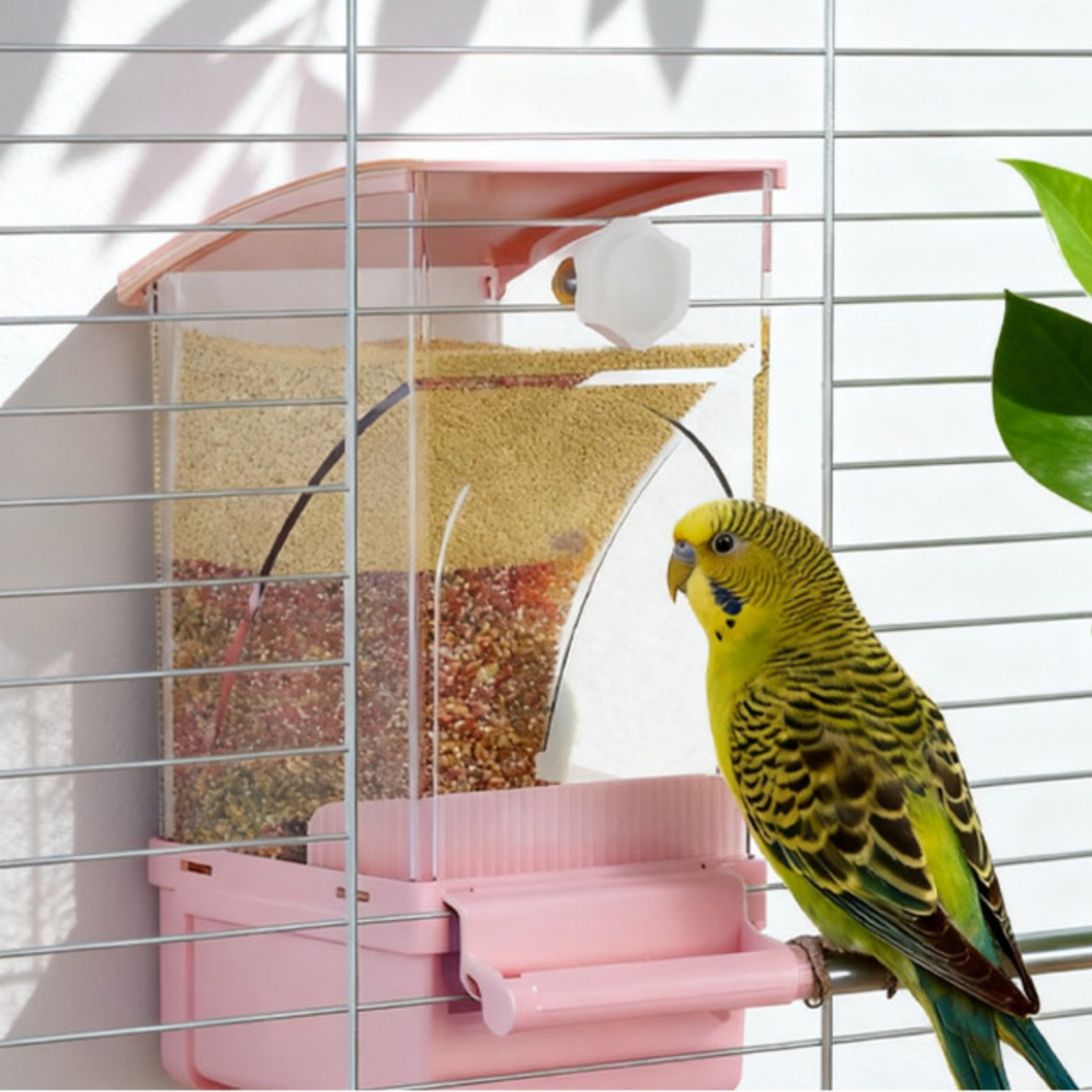 Automatischer Vogelfutterspend – Pet Supplies Usa Bewertung und Preis