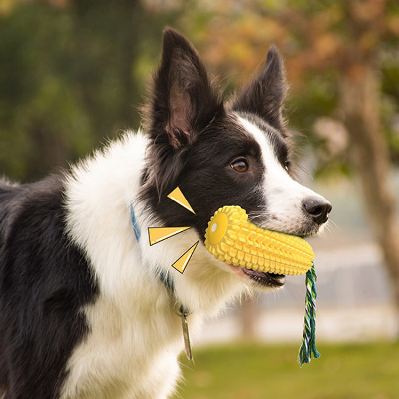 Haustierzubehör: Quietschende  – Pet Supplies Amazon Bewertung und Preis