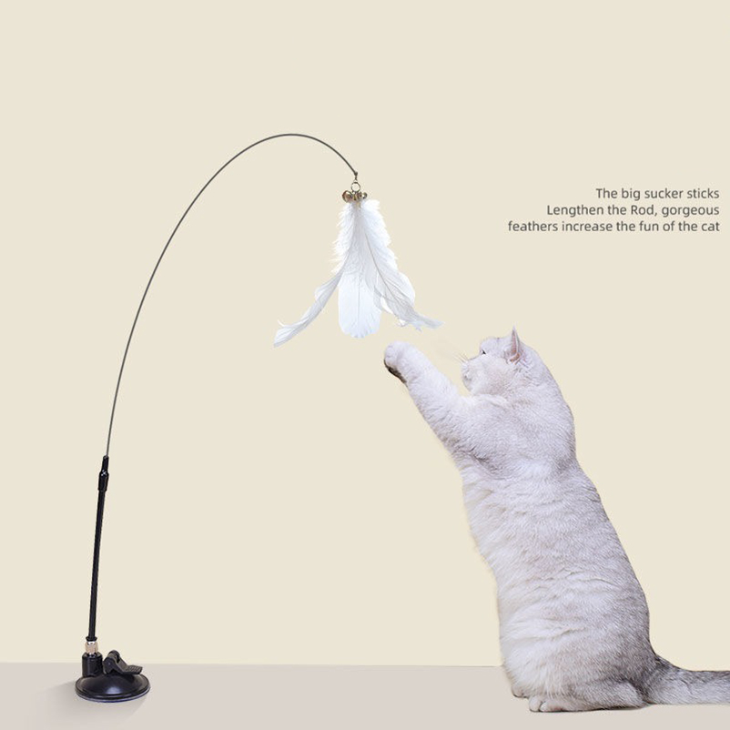 Neuer leistungsstarker Katzens – Pet Supplies Amazon Bewertung und Preis