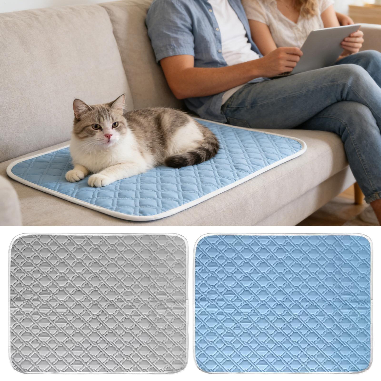 Kühlmatte für Hunde, schweißab – Dog Cooling Mat Bewertung und Preis