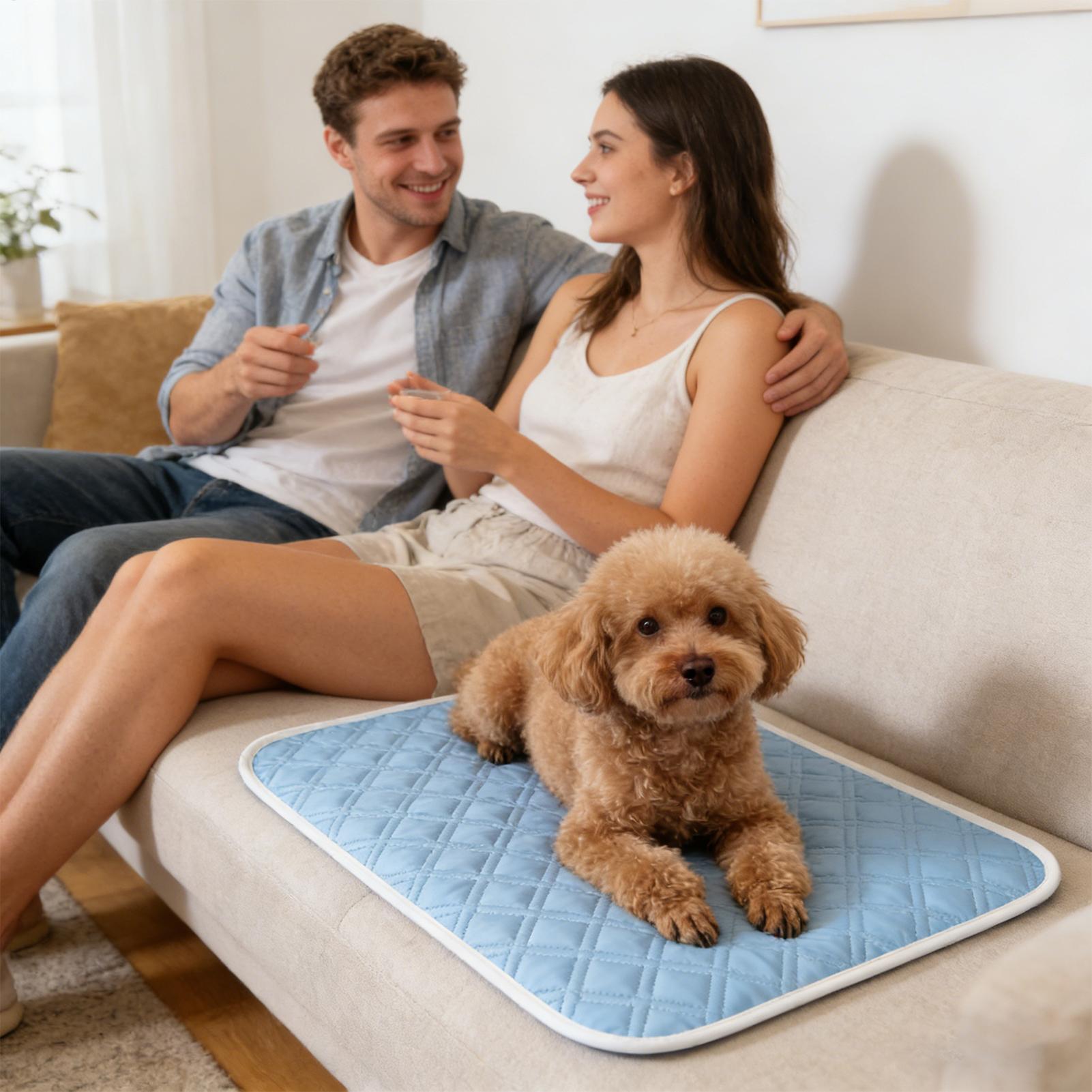 Kühlmatte für Hunde, schweißab – Dog Cooling Mat Bewertung und Preis
