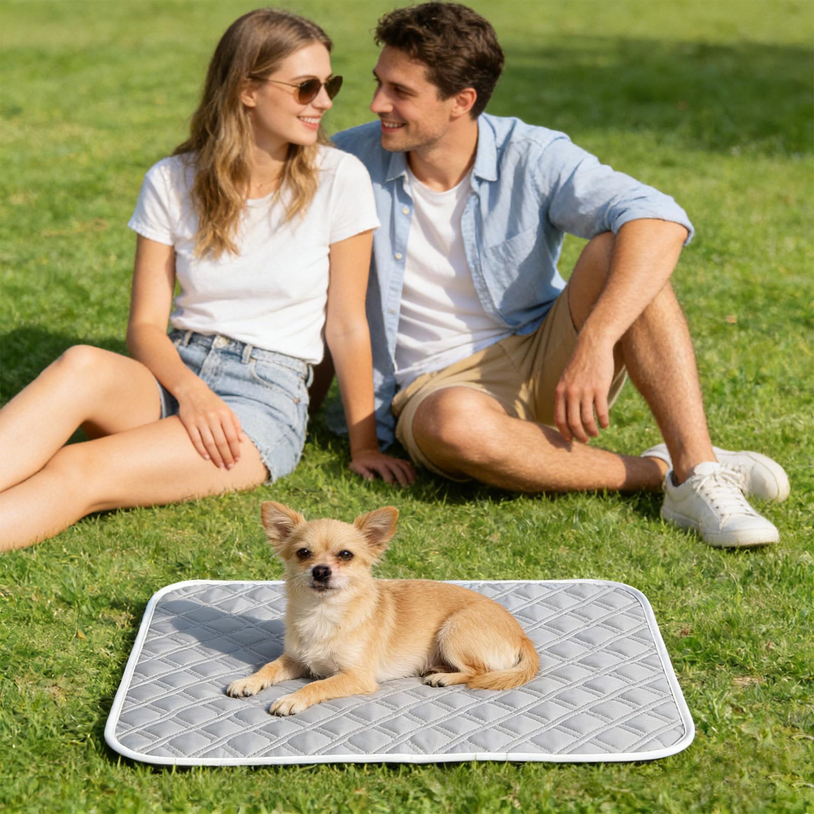 Kühlmatte für Hunde, schweißab – Dog Cooling Mat Bewertung und Preis