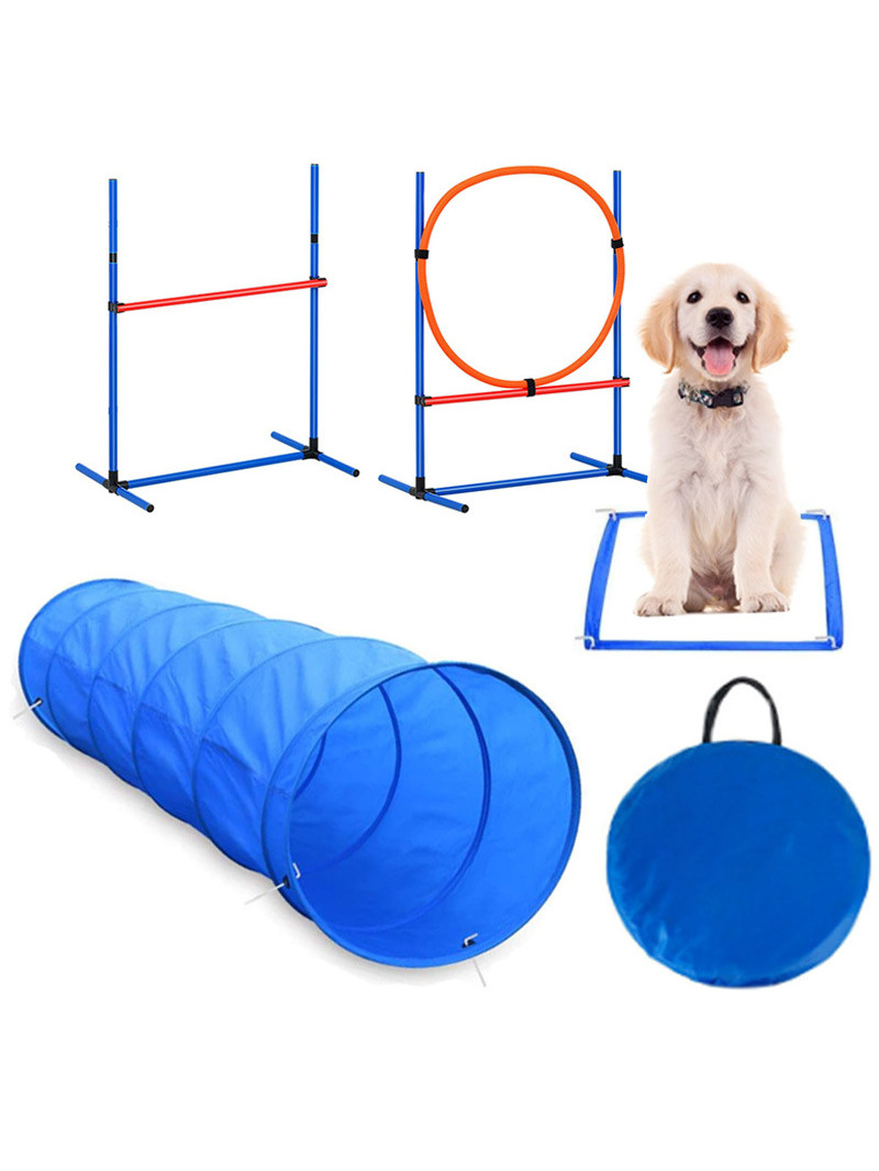 Hunde-Hindernistrainings-Wettb – Pet Supplies Usa Bewertung und Preis
