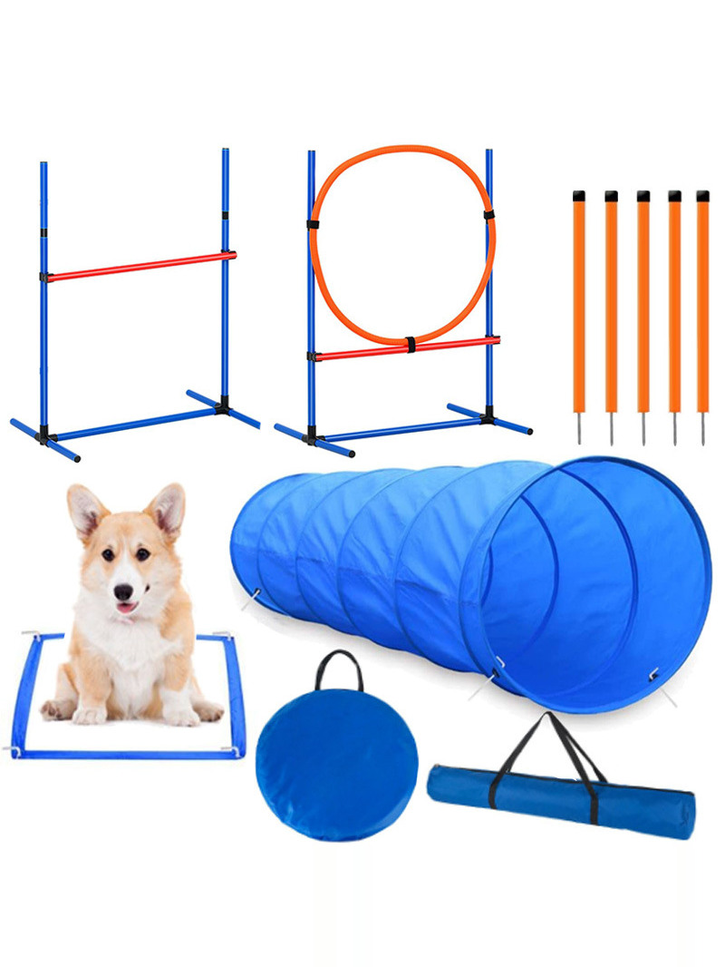 Hunde-Hindernistrainings-Wettb – Pet Supplies Usa Bewertung und Preis