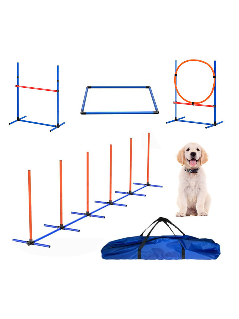 Hunde-Hindernistrainings-Wettb – Pet Supplies Usa Bewertung und Preis