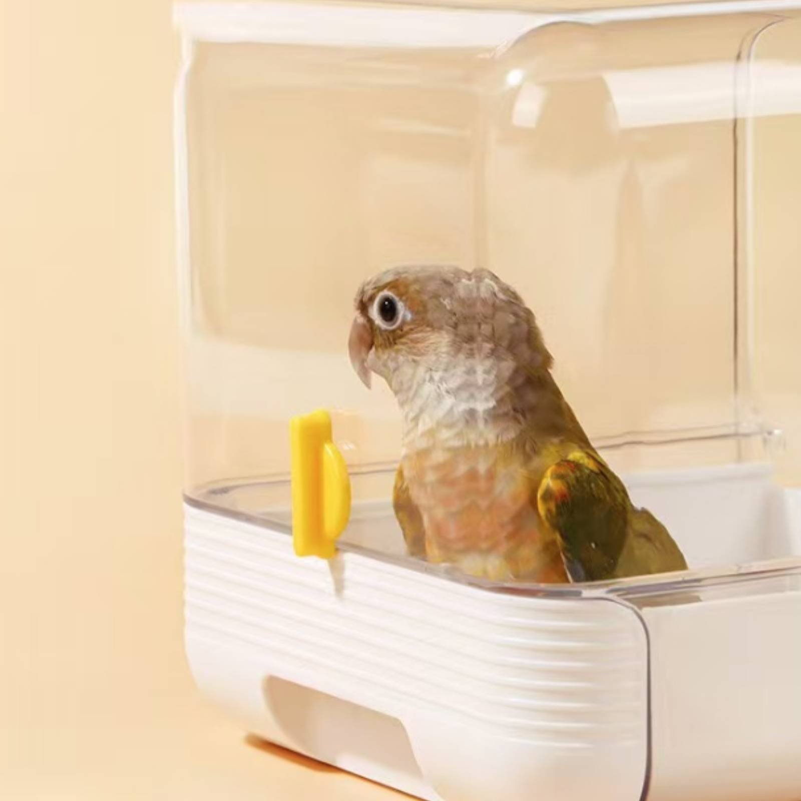 Papageien-Badewanne Multifunkt – Pet Supplies Usa Bewertung und Preis